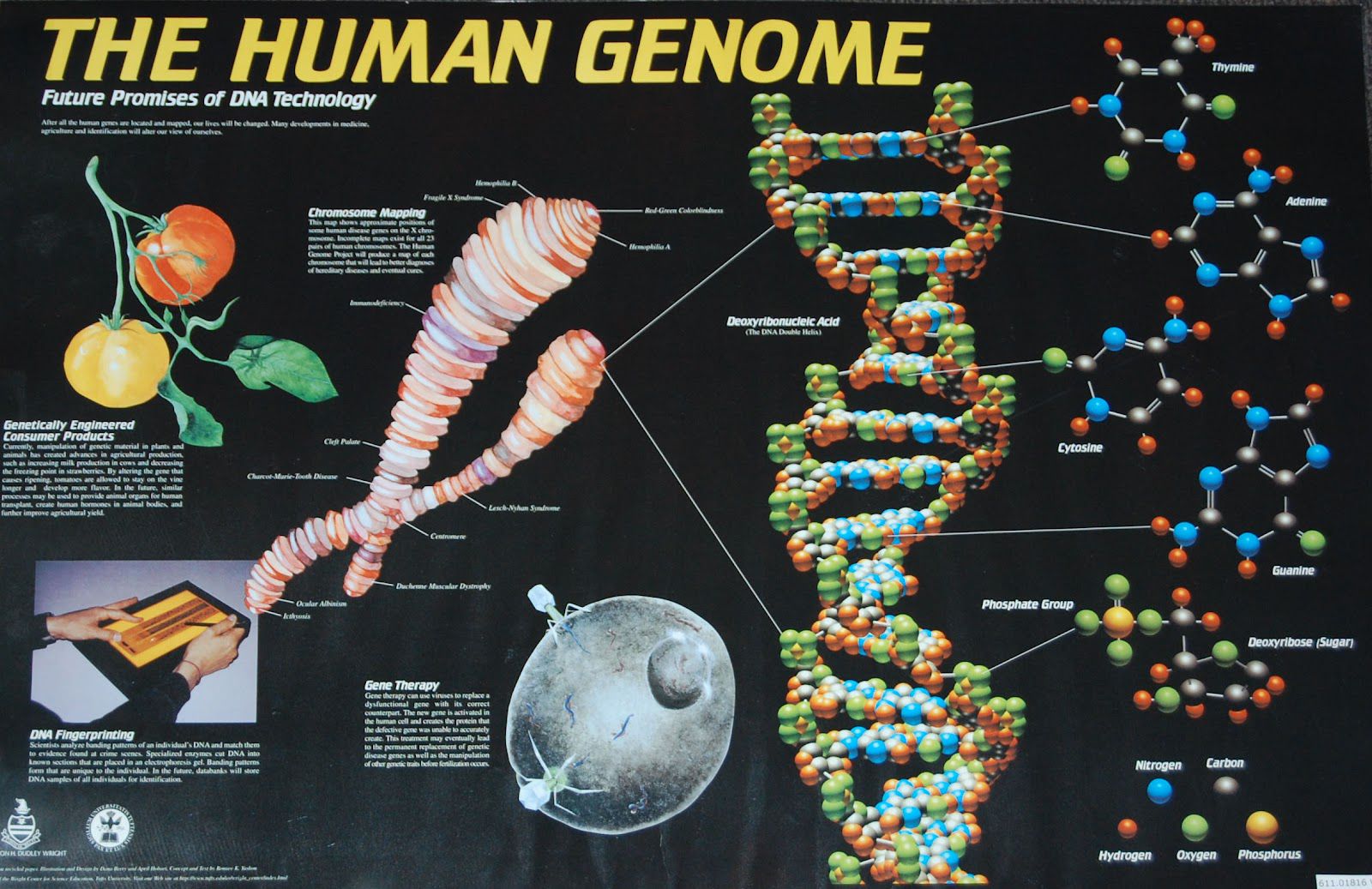 How Much Do We Know about the DNA Code System?