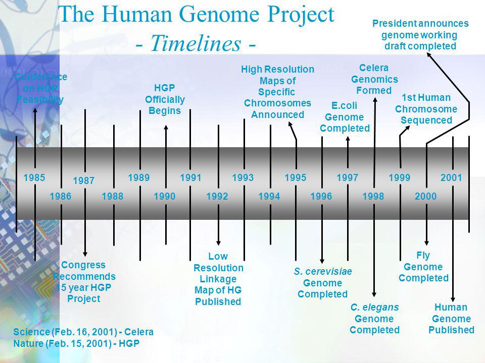 How Much Do We Know about the DNA Code System?