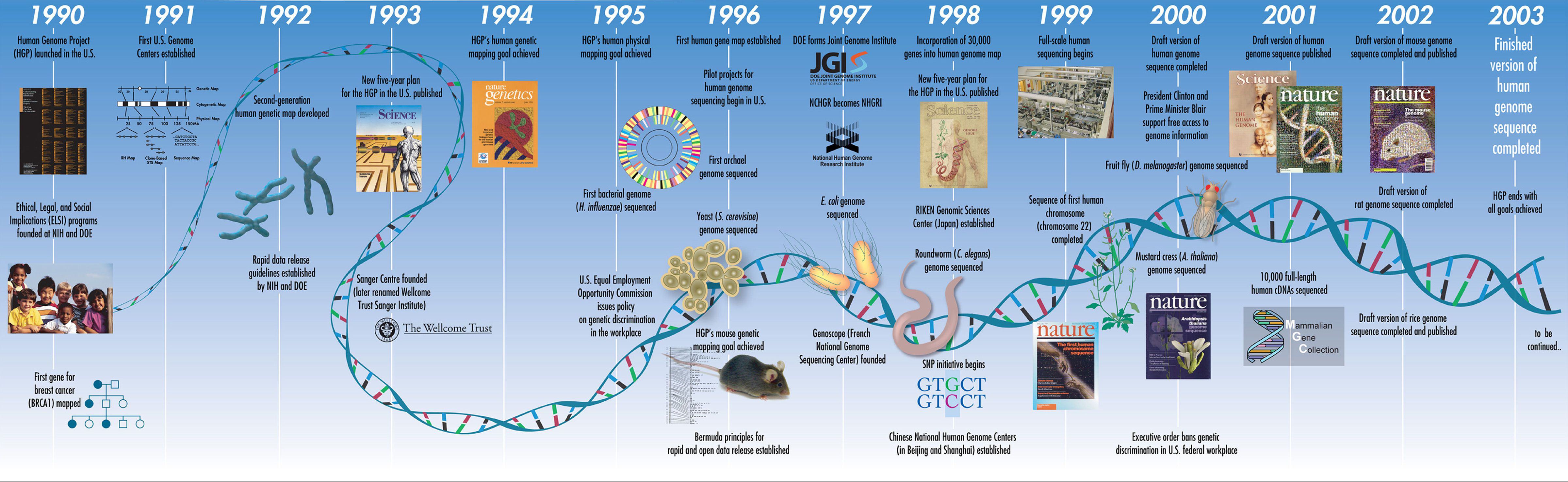 How Much Do We Know about the DNA Code System?