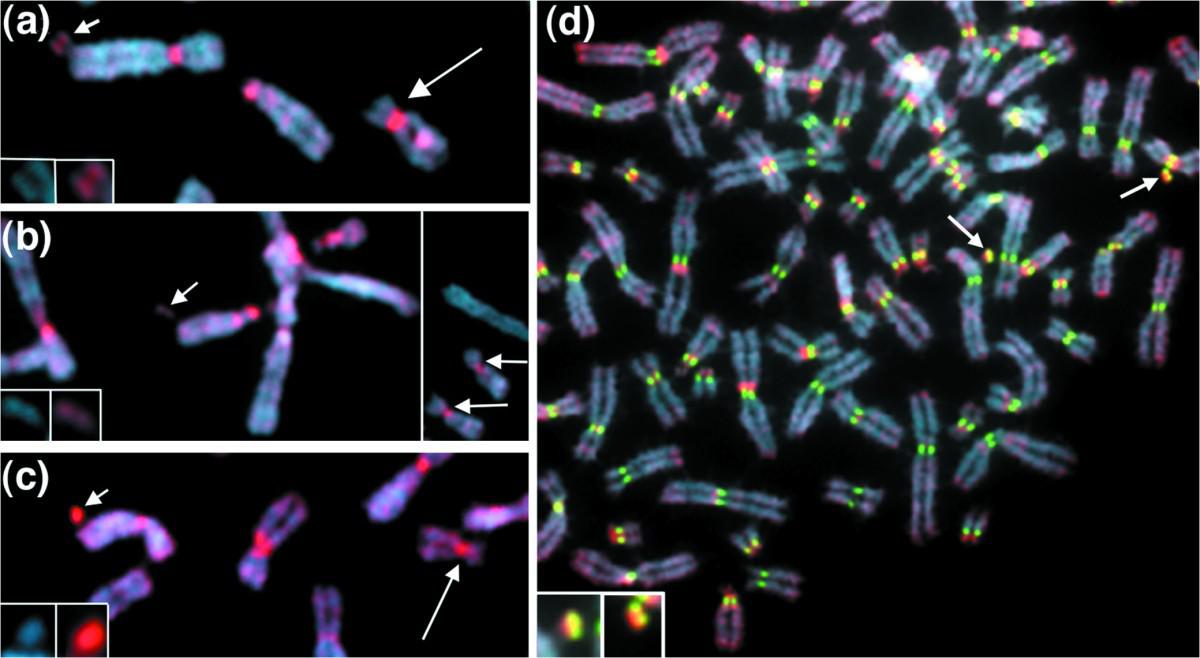 How Much Do We Know about the DNA Code System?